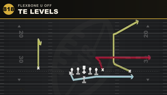 TE LEVELS from Flexbone U Off