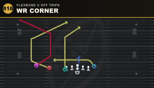 WR CORNER from Flexbone U Off Trips