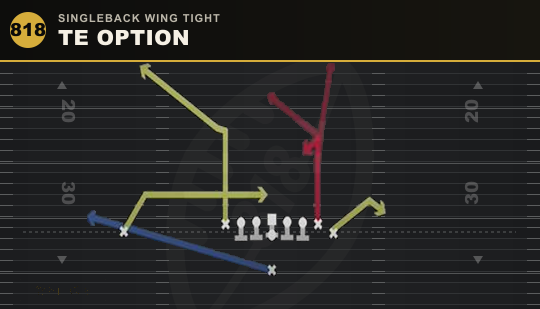 TE OPTION from Singleback Wing Tight