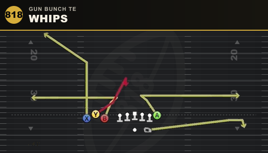 WHIPS from Gun Bunch TE