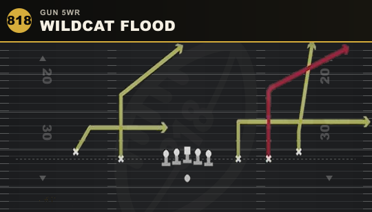WILDCAT FLOOD from Gun 5WR