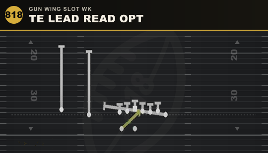 TE LEAD READ OPT from Gun Wing Slot Wk