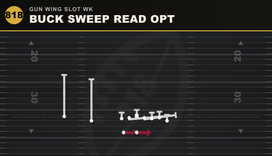 BUCK SWEEP READ OPT from Gun Wing Slot Wk