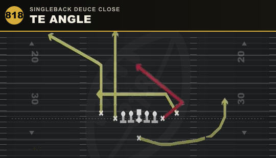 TE ANGLE from Singleback Deuce Close