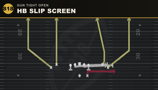 HB SLIP SCREEN from Gun Tight Open