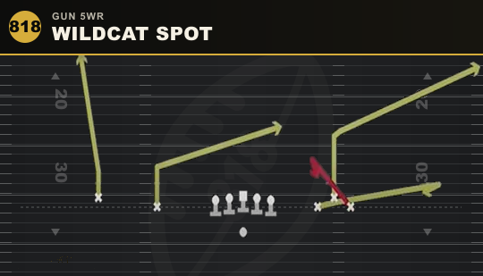 WILDCAT SPOT from Gun 5WR