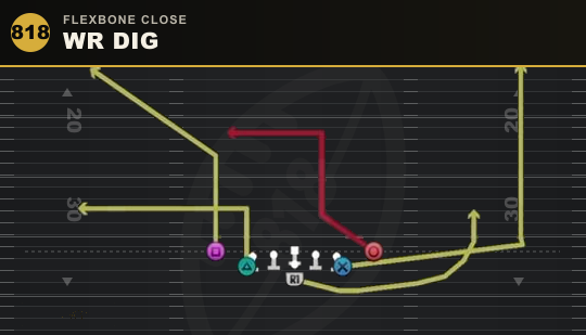 WR DIG from Flexbone Close