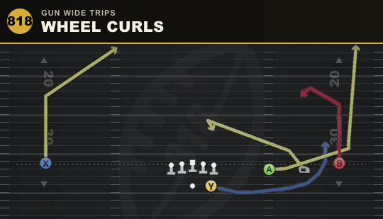 WHEEL CURLS from Gun Wide Trips