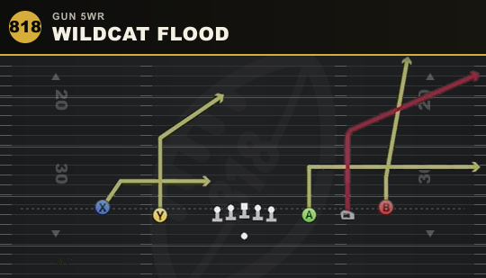 WILDCAT FLOOD from Gun 5WR
