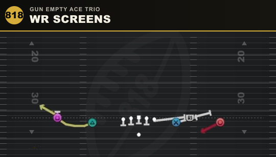 WR SCREENS from Gun Empty Ace Trio