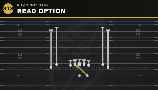 READ OPTION from Gun Tight Open