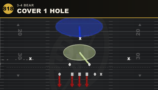 COVER 1 HOLE from 3-4 Bear
