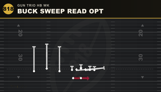 BUCK SWEEP READ OPT from Gun Trio HB Wk