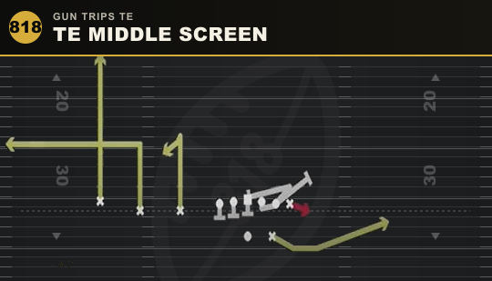 TE MIDDLE SCREEN from Gun Trips TE