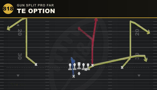 TE OPTION from Gun Split Pro Far