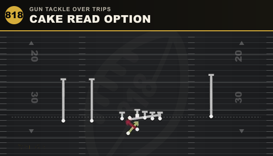 CAKE READ OPTION from Gun Tackle Over Trips