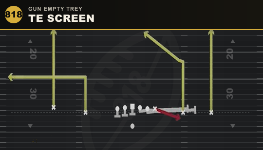 TE SCREEN from Gun Empty Trey