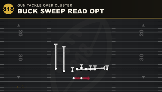 BUCK SWEEP READ OPT from Gun Tackle Over Cluster