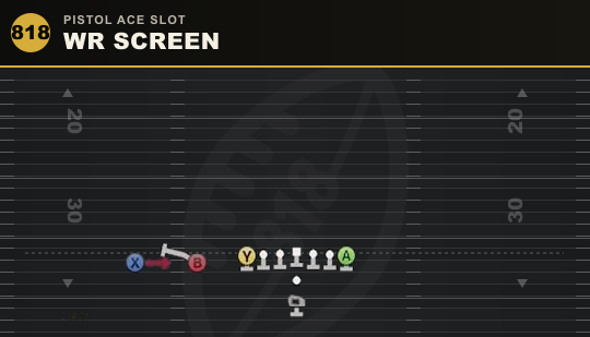 WR SCREEN from Pistol Ace Slot