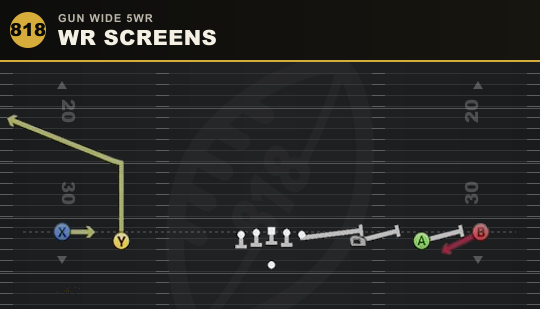 WR SCREENS from Gun Wide 5WR