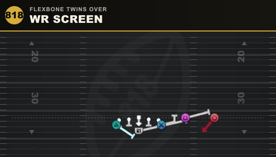 WR SCREEN from Flexbone Twins Over