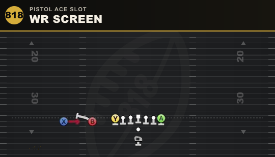 WR SCREEN from Pistol Ace Slot