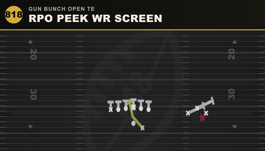 RPO PEEK WR SCREEN from Gun Bunch Open TE