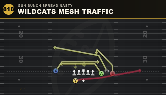 WILDCATS MESH TRAFFIC from Gun Bunch Spread Nasty