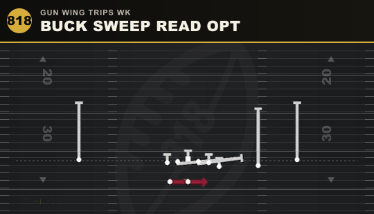 BUCK SWEEP READ OPT from Gun Wing Trips Wk