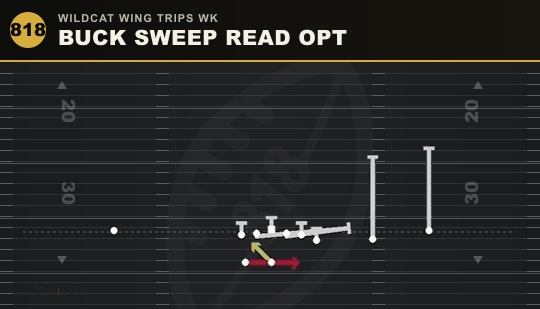 BUCK SWEEP READ OPT from Wildcat Wing Trips Wk