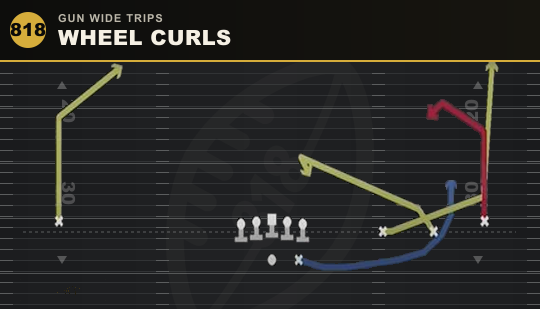 WHEEL CURLS from Gun Wide Trips