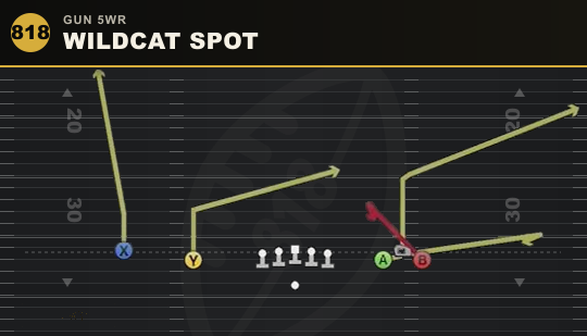 WILDCAT SPOT from Gun 5WR