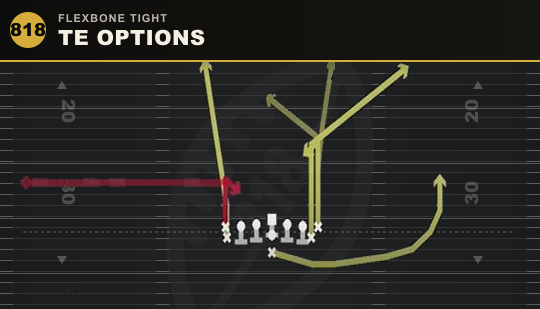 TE OPTIONS from Flexbone Tight