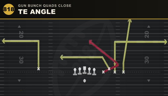 TE ANGLE from Gun Bunch Quads Close