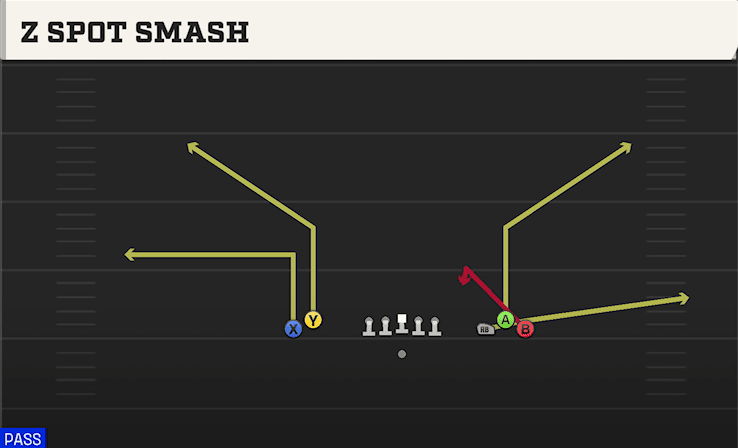 Z SPOT SMASH from EMPTY BUNCH WIDE