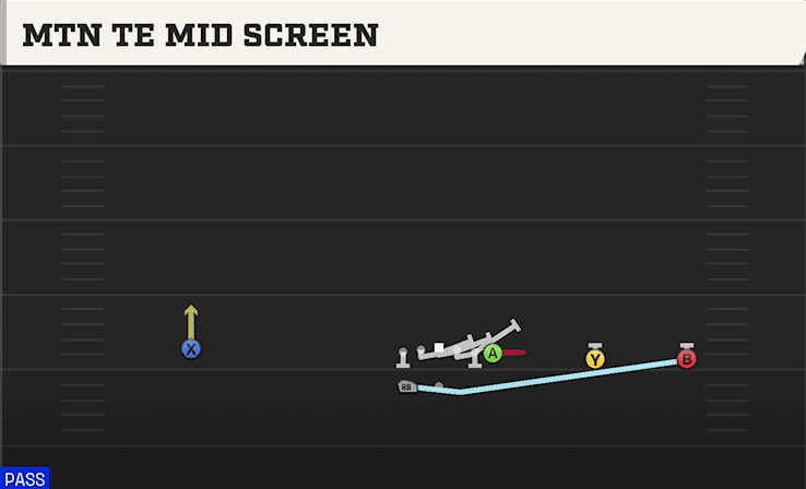 MTN TE MID SCREEN from WIDE Y TRIPS WK