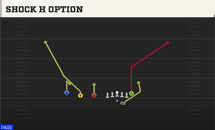SHOCK H OPTION from TRIPS TE OFFSET