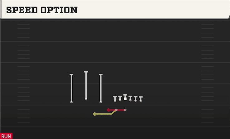 SPEED OPTION from TRIO HB WK