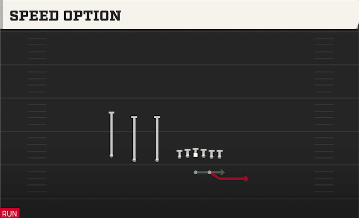 SPEED OPTION from TRIPS TE
