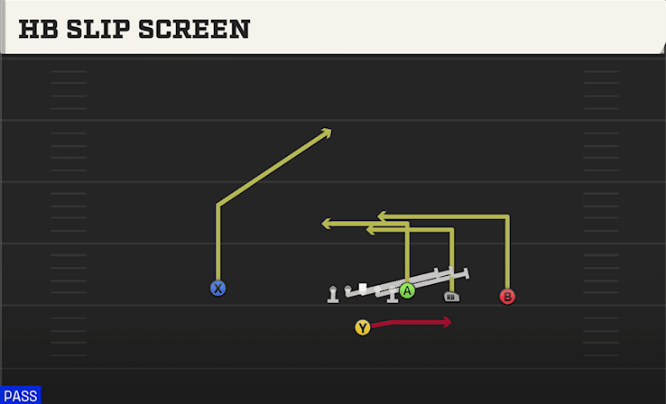 HB SLIP SCREEN from Y TRIPS