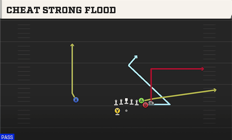 CHEAT STRONG FLOOD from Y TRIPS WK