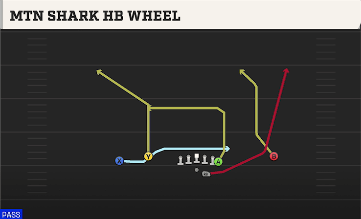 MTN SHARK HB WHEEL from FLEX Y OFF
