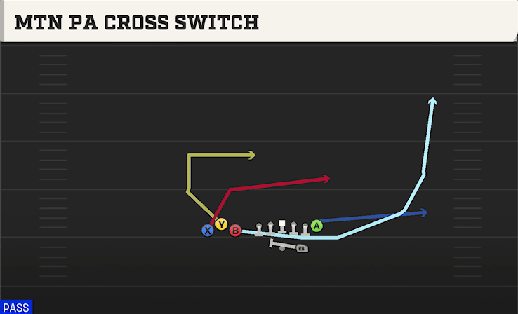 MTN PA CROSS SWITCH from BUNCH TE