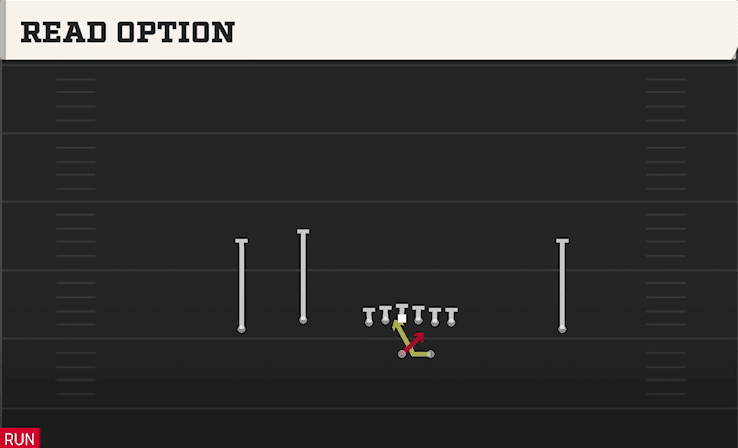 READ OPTION from DOUBLES FLEX