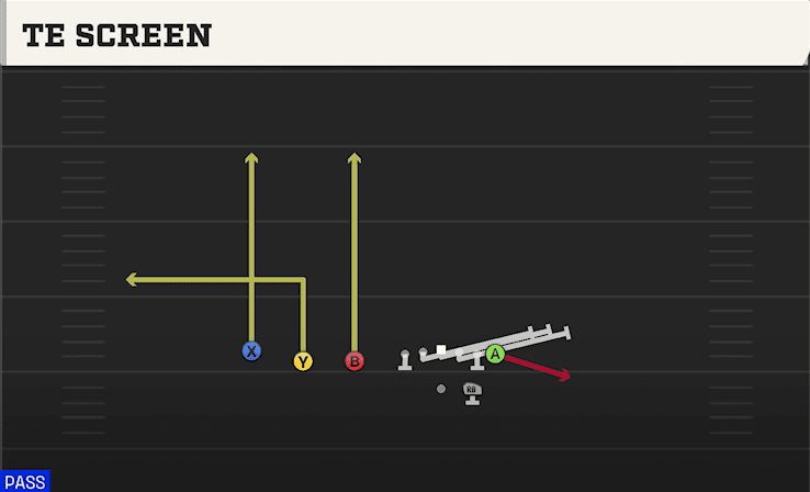 TE SCREEN from TRIPS TE