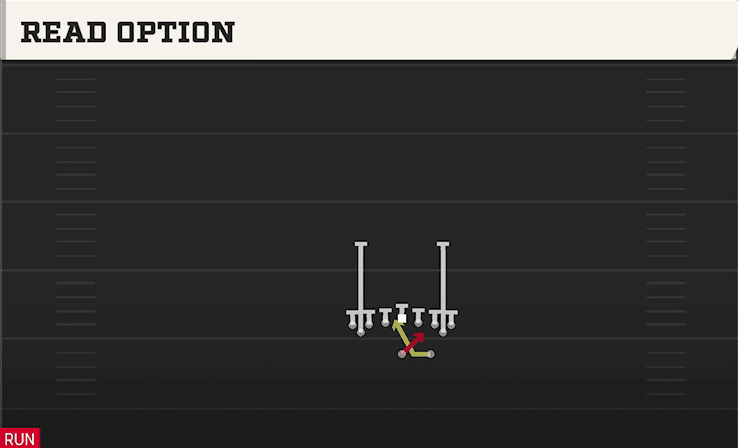 READ OPTION from FLEXBONE TIGHT