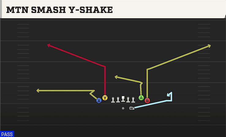 MTN SMASH Y-SHAKE from TIGHT
