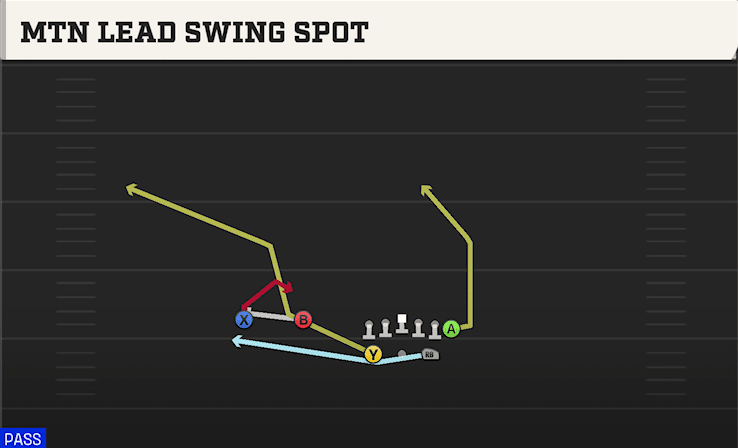 MTN LEAD SWING SPOT from SPLIT TWINS Y OFF