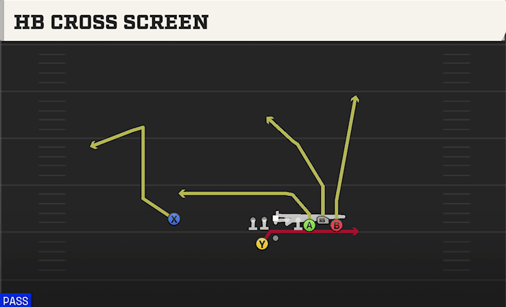 HB CROSS SCREEN from BUNCH OFFSET