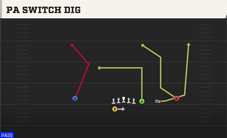 PA SWITCH DIG from TRIPS Y-FLEX